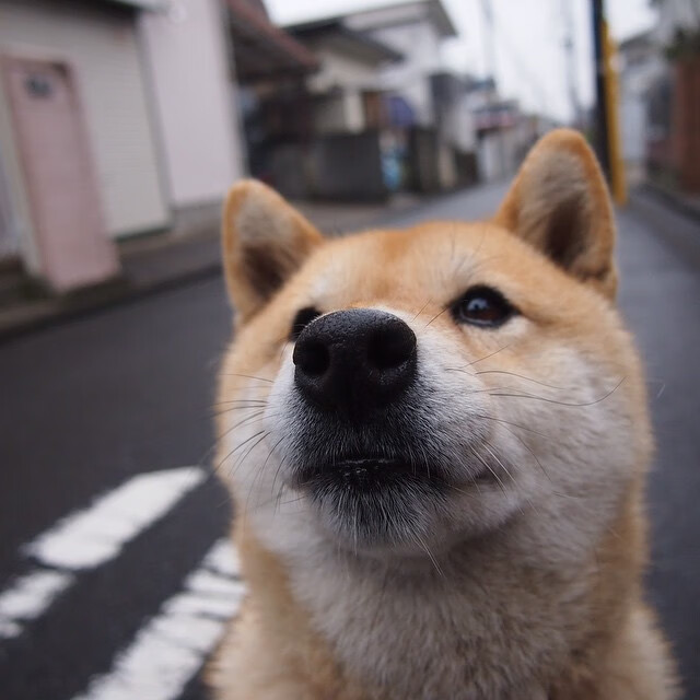 职业联赛缺少标志性国家德比赛事,没职业联赛