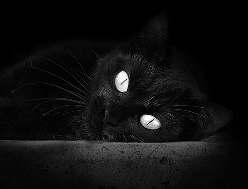 青少年体能达标测试纳入学业评价体系，青少年体能测试合格标准