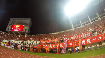 开云集团中国官网-场馆设施翻新完成比赛场地改造计划推进，场馆设计方案