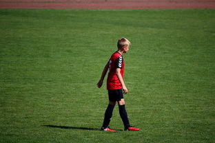 开云体育官方网站-俱乐部青训选拔日活动吸引众多有潜力少年参与，足球青训俱乐部招生宣传